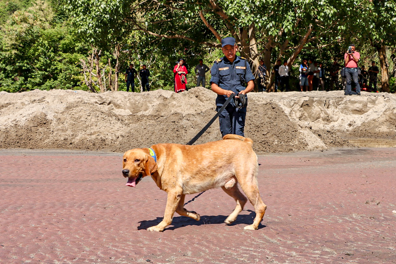 बेपत्ताहरूको खोजी गर्दै प्रहरीको कुकुर।